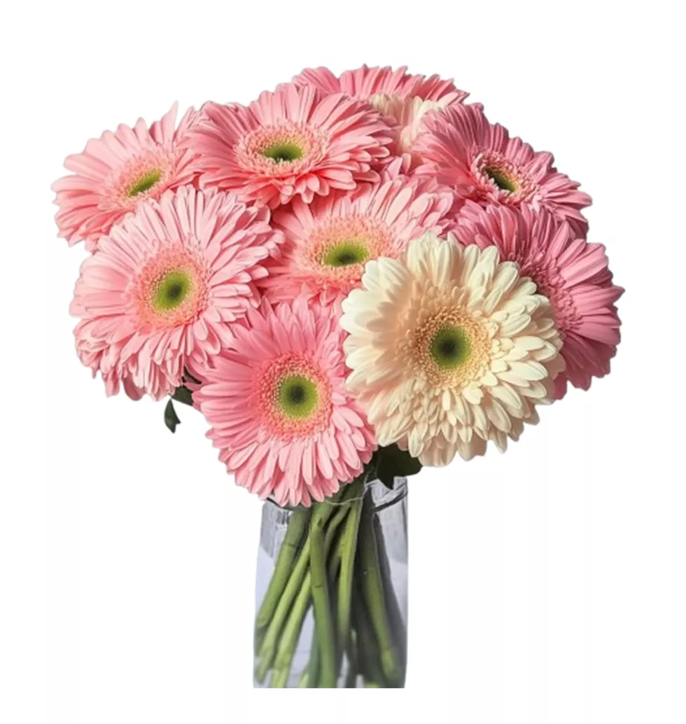 Simple Beauty: Pink and White Gerberas