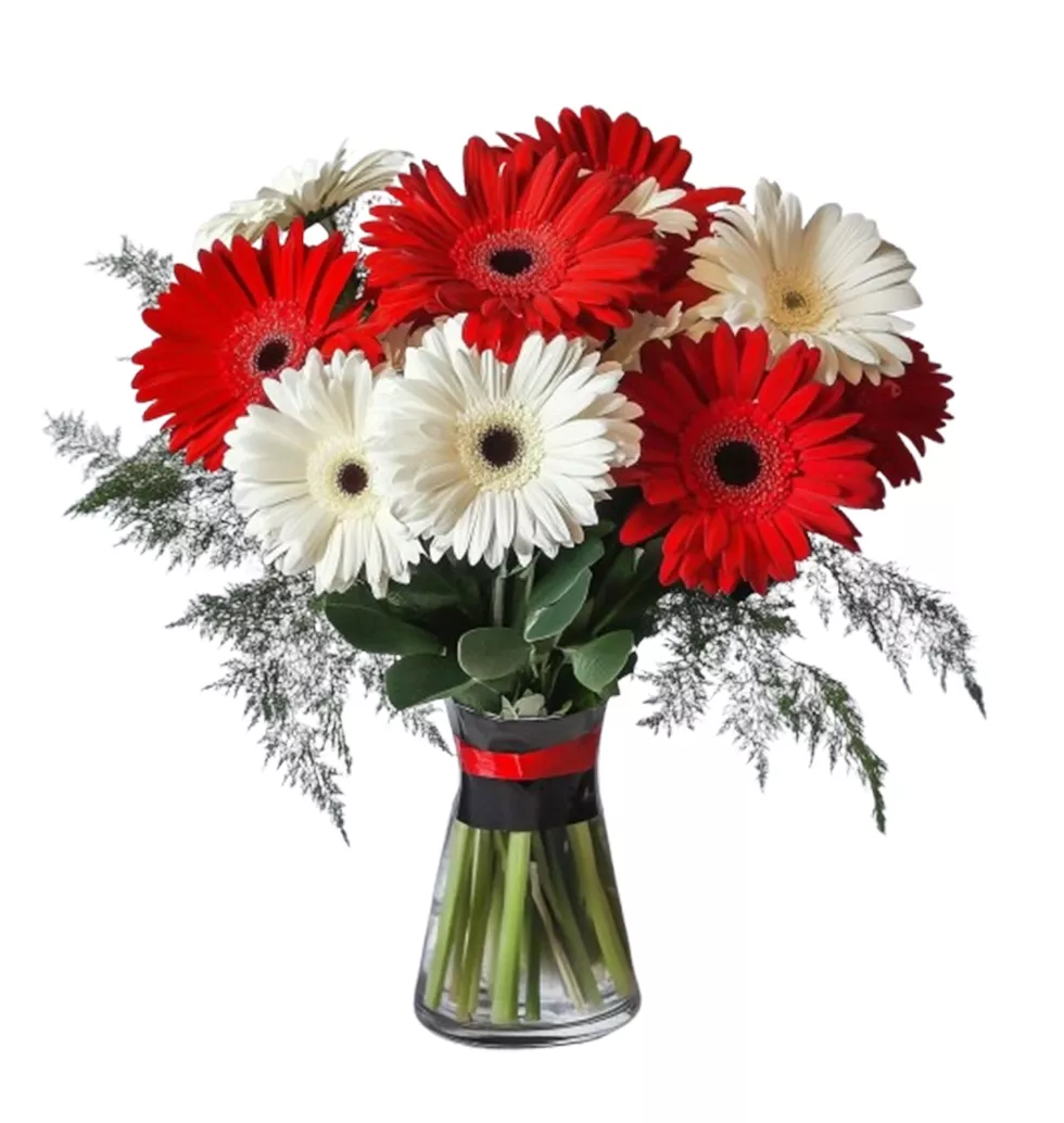 Lively Red and White Floral Burst