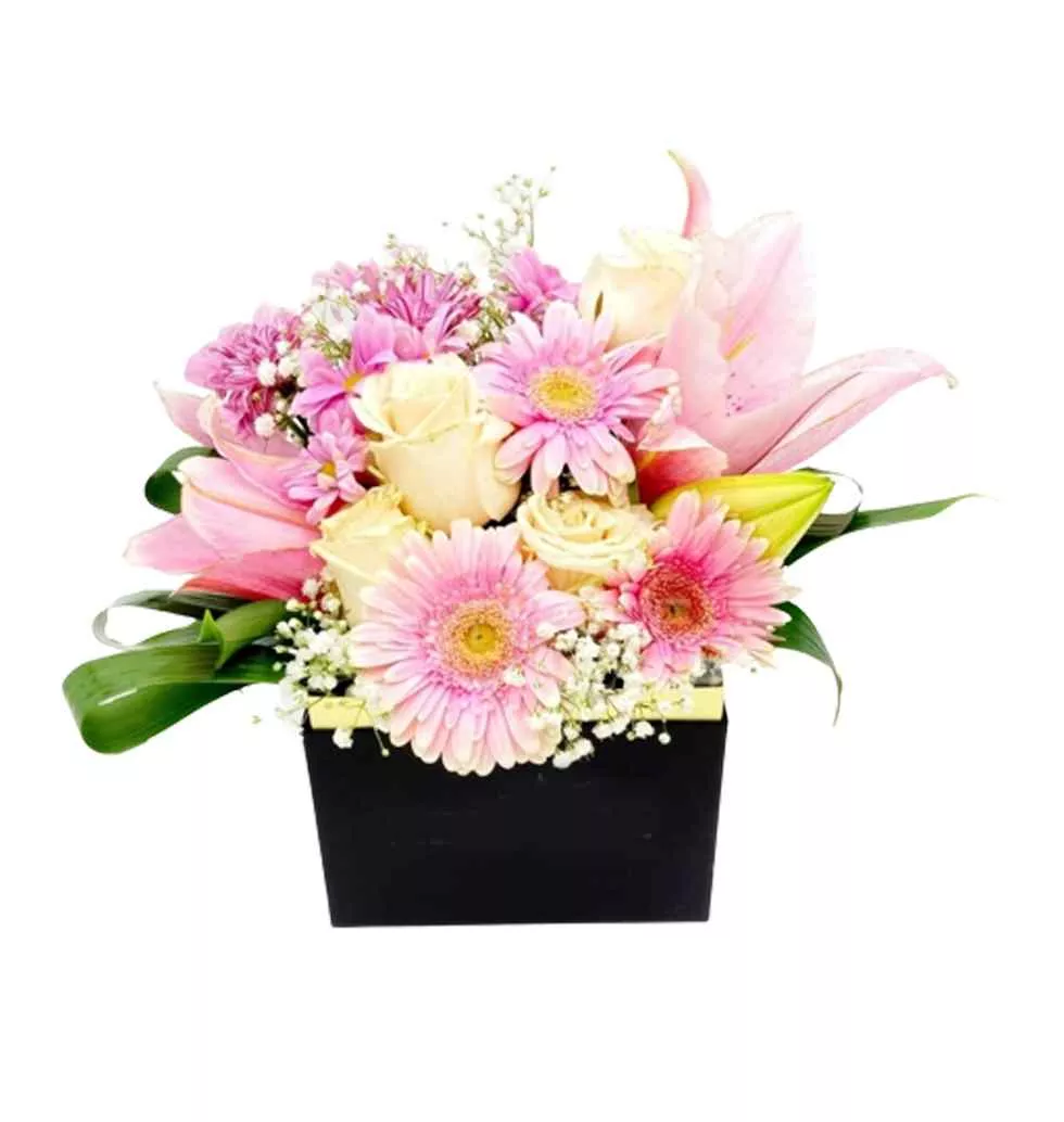 Gorgeous Bunch Of Soft Colors