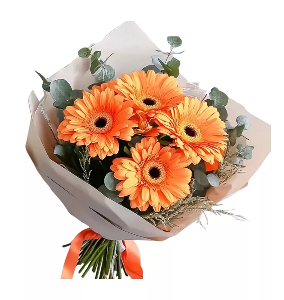 Living With Gerberas
