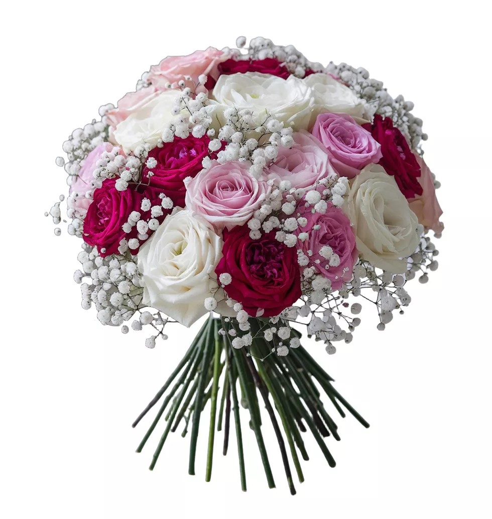 Colorful Carnations Harmony