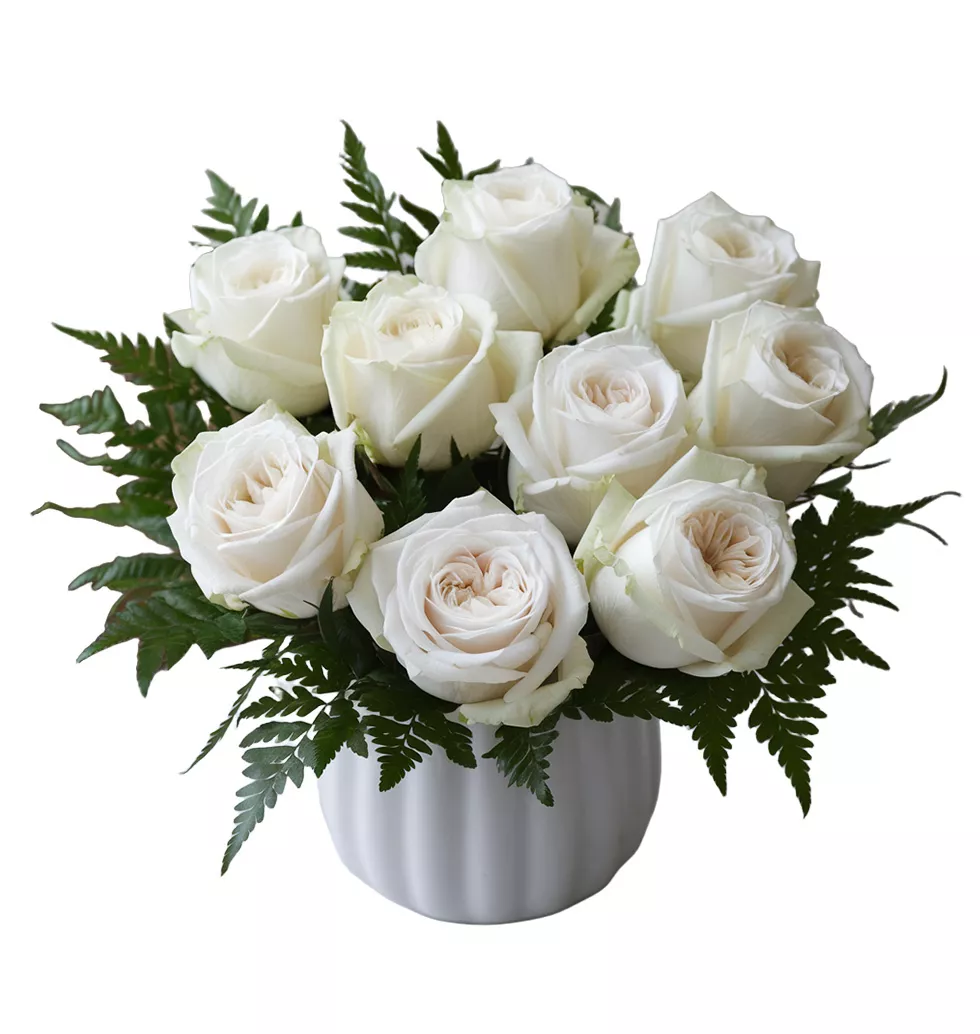 Classic White Roses Arrangement